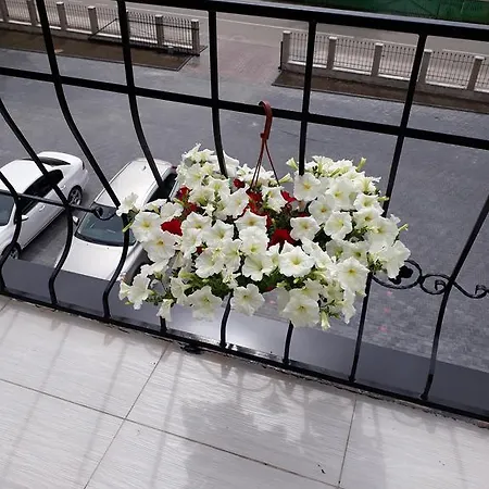 Laimos Apartament *