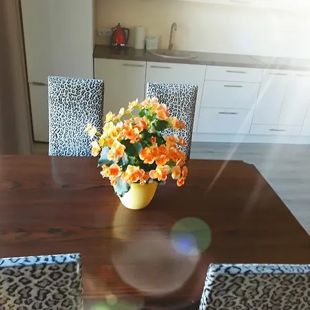 Laimos Palanga